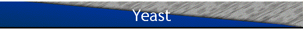 Yeast